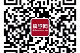 高校里来的新博士，基金批不下来可能更好图片