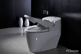 2016座便器十大品牌排行榜图片