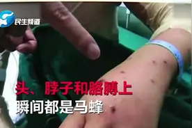 儿子被马蜂袭击 母亲为护孩子引开蜂群被蛰230多下生命垂危视频封面