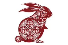 让你一秒就能认识真正的生肖兔，你身边有属兔的人吗图片