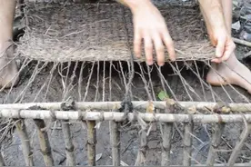 从零开始的原始人生活，史上最牛荒野求生，不是贝爷图片