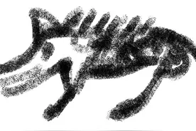 猪氏物语--从神兽到农家宝图片