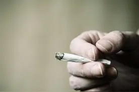 悉尼犯罪多发区 竟然也是宜居区？图片
