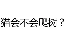 猫会不会爬树？结果答案好冷啊图片