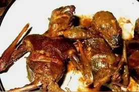 萌妹子非洲旅行不敢吃的美食，蚊子汉堡，红烧蝙蝠，你敢吗？图片