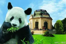 世界十大动物园，北京动物园强势上榜图片