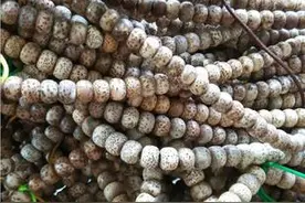 入手星月菩提，这些点最容易被坑。图片