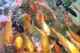 这就是每个人都羡慕的爱情，你遇到了吗？图片