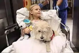 忠犬3年救主人2命，主人做手术时提的了一个要求感动所有人图片