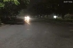 我给你两个选择：要么你跟我走，要么我跟你走(图)图片