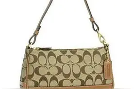 COACH(蔻驰)图案的基础知识图片