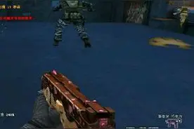 活该你被虐！ 细述穿越火线生化土豪装和平民装的差距图片