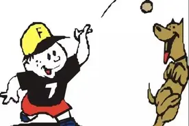 狗狗的解压神器？来试试吧。图片