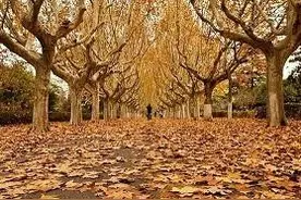 随笔：二十出头的年纪，没有目标，也好图片