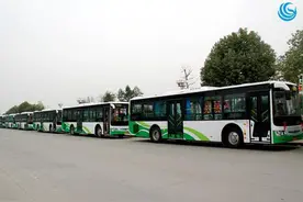 考A3公交车驾照多少钱图片