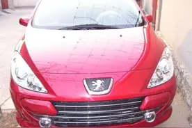 红狮子的怒吼——标致307图片