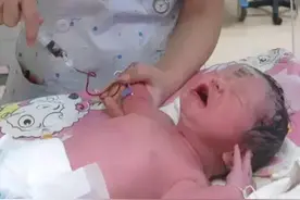 一名体重不到四斤婴儿的内心独白图片