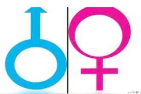 为什么男和女要用这两个字符来表示，而不是其他字符？图片