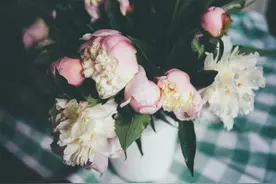 你离开我，是我的错图片