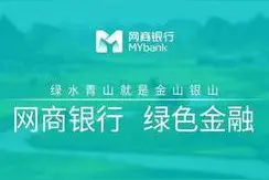 来了！网商银行账户进驻支付宝，再没有20万的限额。图片