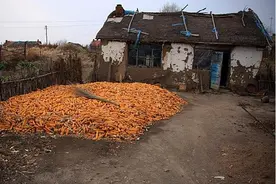 东北农村的土房子你见过吗，住过吗?图片