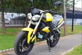 青蛙王子——奔达 火舞BD250-M1图片