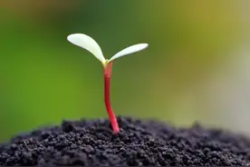 有一天（诗歌）图片