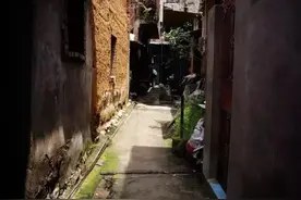 乡下的老姨图片