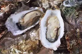 介些好歹的，用庄河话说才地道 ！图片