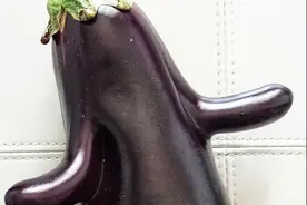 世界之大，真是无奇不有！盘点那些成精的蔬菜，个个都是奥斯卡图片
