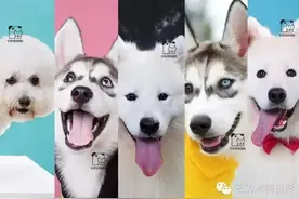 宠物照片到底该怎么拍？干货来了图片