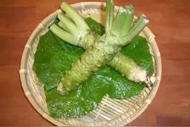 不知道wasabi是什么，就别吃日料了图片