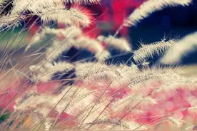 爸妈，如果有来世，我要做你们的儿子图片