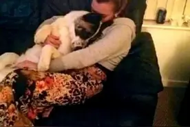 狗对孕妇举动反常最后救了她一命，没扔掉狗福报到图片