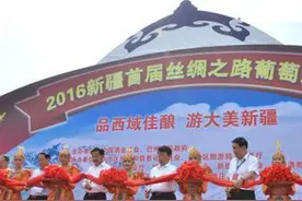 What？葡萄籽能炼油比橄榄油更健康！图片