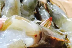 论有个会烧菜女朋友的重要性图片