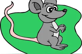 这四大生肖胆子小如鼠，可头脑聪明，好运接踵来敲门图片