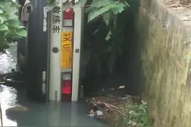 女学员练车，将教练一起带进臭水沟，到底是谁的责任？图片