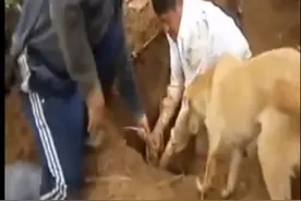 男子地底挖出奇怪生物，连家里狗狗都十分好奇！图片