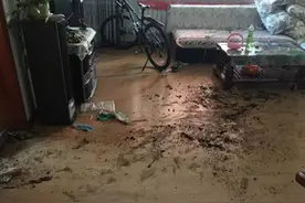 养了只微笑天使萨摩耶，每次回到家，都会看到“惊喜”的一幕..图片