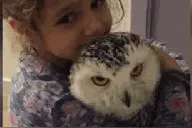 小女孩给宠物猫头鹰一个拥抱，猫头鹰却表情严肃的想拒绝图片
