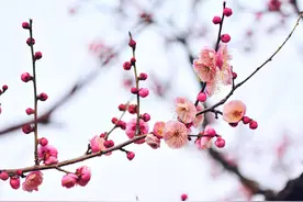 还记得这些如诗如画的歌吗？图片