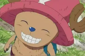 目前为止，乔巴的帽子有多少种造型呢？你知道吗？图片