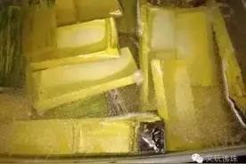 这位小伙子技高人胆大，捡根毛竹回家做手串！图片