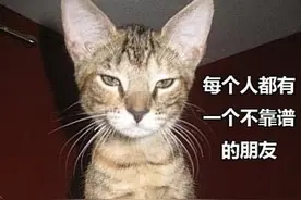 宠物们的拟人化瞬间 萌翻你不负责图片
