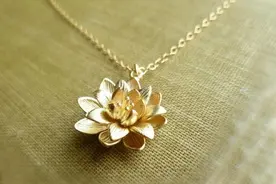 莲花配饰的10大美好寓意图片