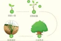 支付宝碳账户能提升芝麻分？假的！但它有可能变成钱图片