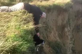 边牧被主人遗弃在悬崖边，好心人为救它差点掉下去图片