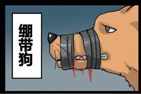 狗狗被人用绷带封住嘴巴，发现时已经骨瘦如柴图片