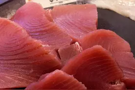 喜欢吃刺身的留意：荷兰吞拿鱼多染色图片